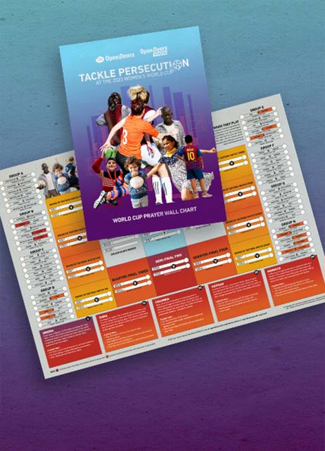 Women's World Cup Wall Chart image