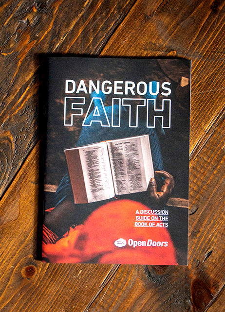 Dangerous Faith Discussion Guide image