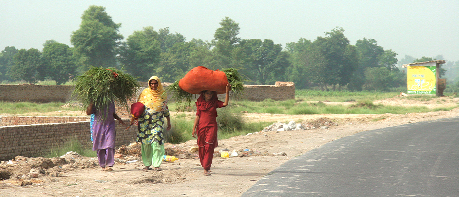 A photo of women in Pakistan carrying bundles of crops down a road (representative image).